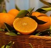 四川耙耙柑应季橙子现摘果冻橙5斤/8斤新鲜水果 商品缩略图0
