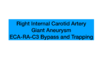 Top4.右颈内动脉巨大动脉瘤ECA-RA-C3 Bypass&Trapping 商品缩略图0
