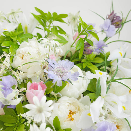 「Peony Season」情书 Love is on Delivery 商品图2