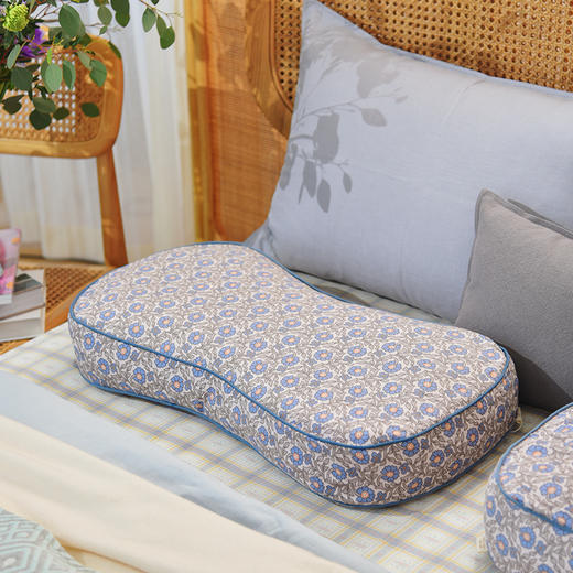 莫里斯花园系列曲线枕荞麦壳枕头护颈椎病荞麦皮睡眠四季 商品图1