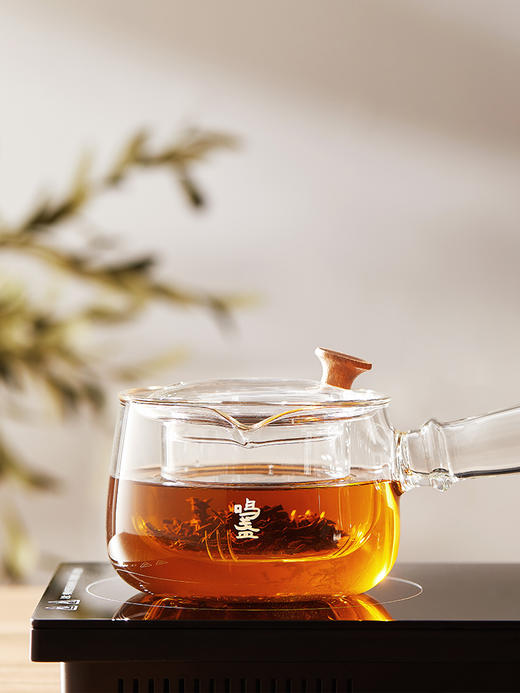 鸣盏 玻璃侧把壶400ml 煮茶壶泡茶专用烧水壶MZ8020[福利品] 商品图2