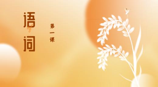 第一课|导入：语词 商品图0