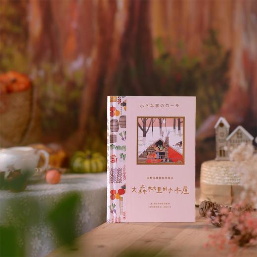 安野光雅插图珍藏本：大森林里的小木屋 商品图2