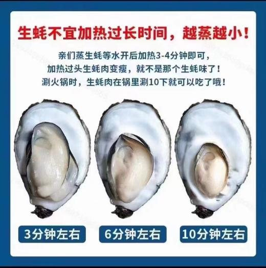 乳山大生蚝，包活包邮到家！口感巨嫩巨鲜！！ 商品图7