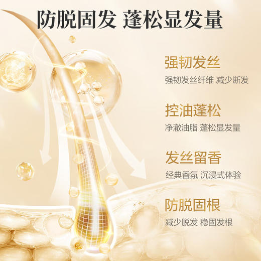 阿道夫  洗发水  姜护理专研洗发水(防脱育发)300ml 商品图2