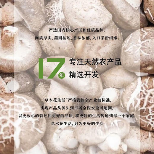 草木花生活 香菇75g 150g 商品图3