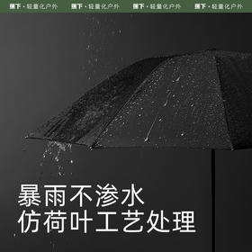 蕉下（beneunder）自动雨伞可折叠男士商务伞双人伞女士雨伞大伞面 【8骨款】曜石黑RP63124