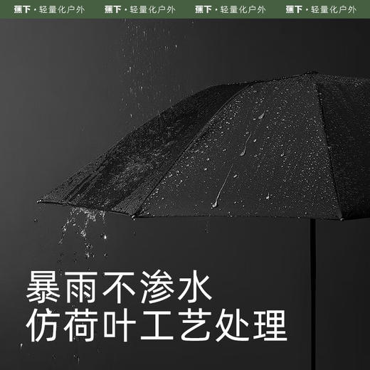 蕉下（beneunder）自动雨伞可折叠男士商务伞双人伞女士雨伞大伞面 【8骨款】曜石黑RP63124 商品图0