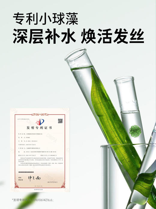 【69元会员福利】Befe牛油果修护发膜240g  商品图4