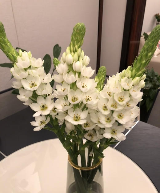 圣心百合  白色  5枝/扎 商品图3
