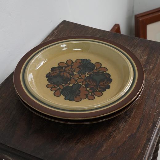 芬兰Arabia山竹Otso系列餐盘 商品图0