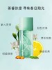 伊丽莎白雅顿绿茶香水身体乳两件套 30ml+250ml 商品缩略图3
