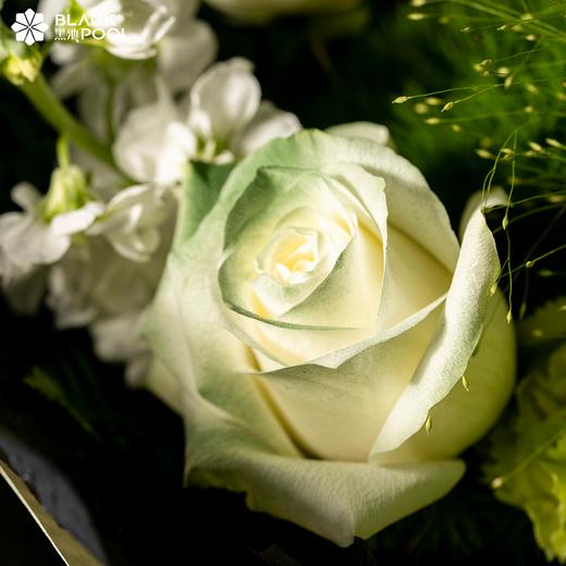 （限深圳，提前1天预约）【白羊座·鲜花】直挂云帆，乘风破浪 商品图2