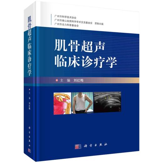 肌骨超声临床诊疗学刘红梅+超声引导肌骨疾病及疼痛介入治疗卢漫肌骨超声临床诊断病例介绍常见疾病肌骨超声报告书写肌骨介入治疗 商品图3