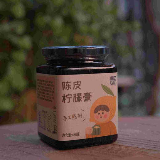 【陈皮柠檬膏】严选优质食材！口感酸甜清香！0添加，老少皆宜，健康安全！480ML！【XS-J】 商品图1