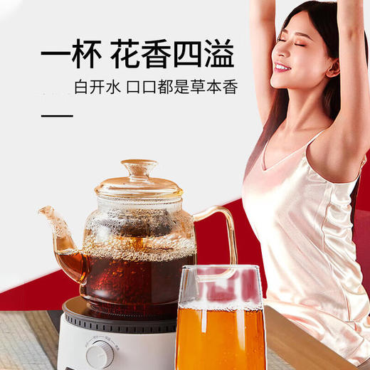 固本堂二十四味红参玫瑰元气茶500g 商品图0