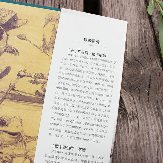 柳林风声  9岁+   双螺旋 商品图2