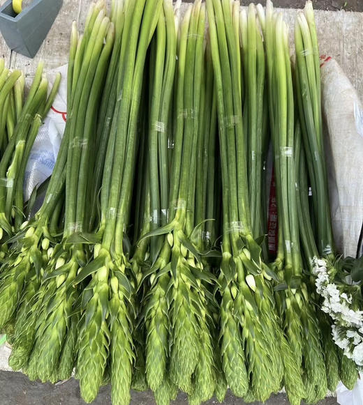 圣心百合  白色  5枝/扎 商品图4