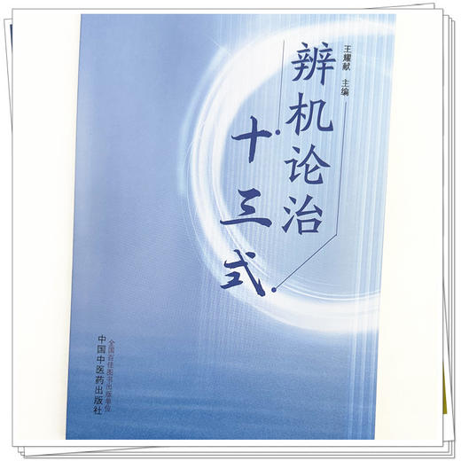 辨机论治十三式 王耀献 主编 中国中医药出版社 中医临床 书籍 商品图4