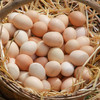 霖勉 新鲜农家散养土鸡蛋 30枚/50枚精选土鸡蛋 谷物喂养 新鲜现捡 整箱京东快递 48小时内发货 商品缩略图7