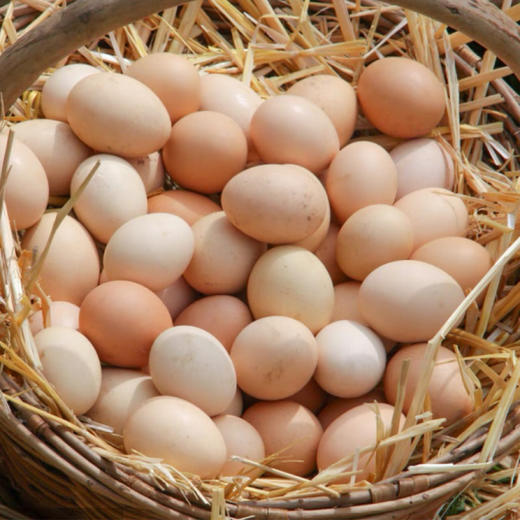 霖勉 新鲜农家散养土鸡蛋 30枚/50枚精选土鸡蛋 谷物喂养 新鲜现捡 整箱京东快递 48小时内发货 商品图7