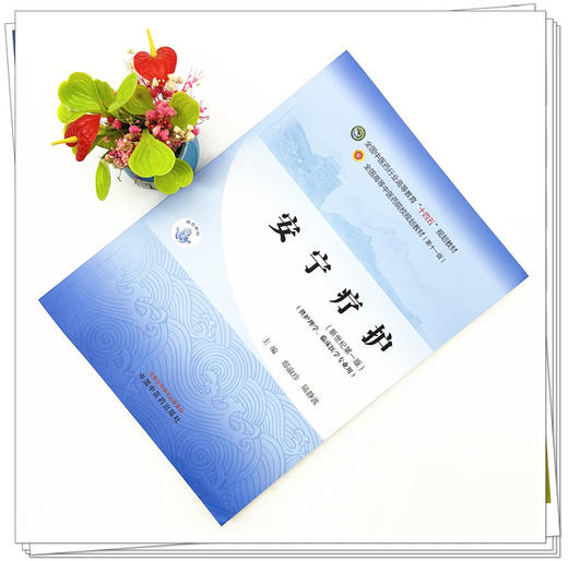 安宁疗护 邸淑珍 陆静波 主编 新世纪第一版 中国中医药出版社 全国中医药行业高等教育十四五第十一版规划教材 商品图2