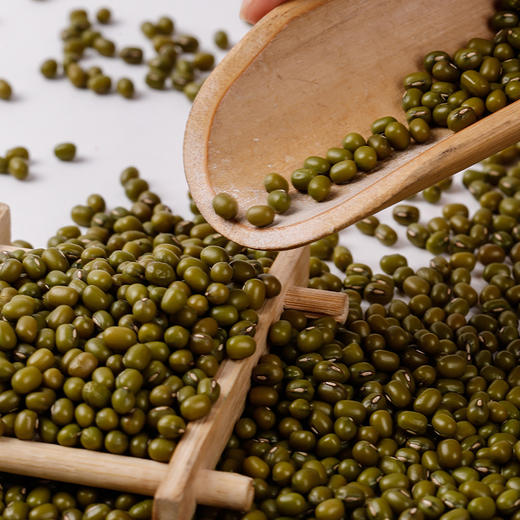 有机绿豆罐装 750g/罐 2罐/3罐 商品图0