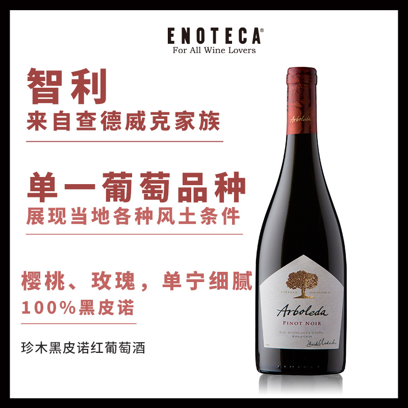 珍木黑皮诺红葡萄酒  ARBOLEDA PINOT NOIR 750ml