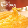 【敖汉非转基因香糯玉米】 0 农残！ 0化肥！ 0防腐 ！0添加！放心粗粮 粒粒分明 香甜软糯有嚼劲！ 商品缩略图3