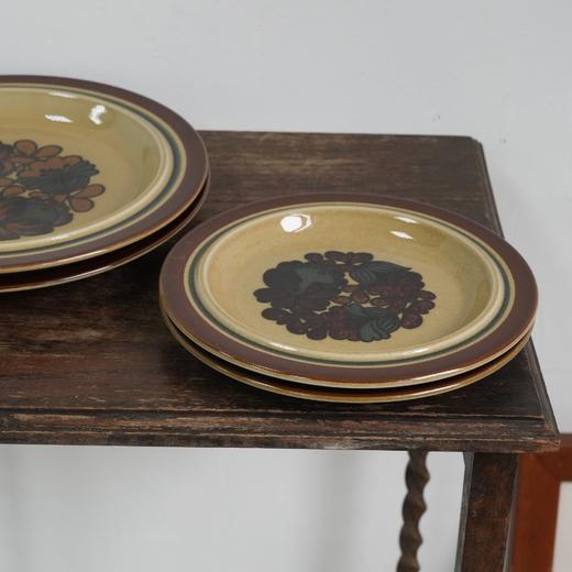 芬兰Arabia山竹Otso系列餐盘 商品图2