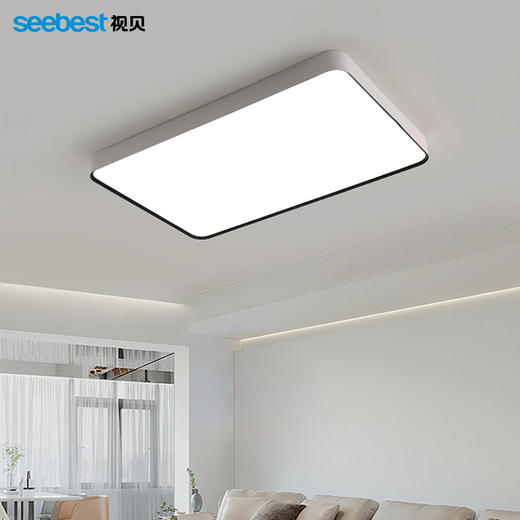 皓朗系列-客卧灯 商品图1