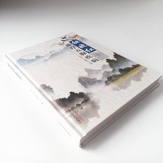 现货正版【出版社直销】钮晓红诊疗五腺疾病（彩图）刘万里 钮晓红著中国中医药出版社 淋巴腺 颌下腺 乳腺 常见腺体疾病 舌诊照片 商品图4