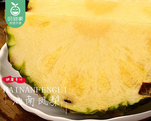 海南树熟金钻凤梨（1.1kg±100g/个） 商品图3