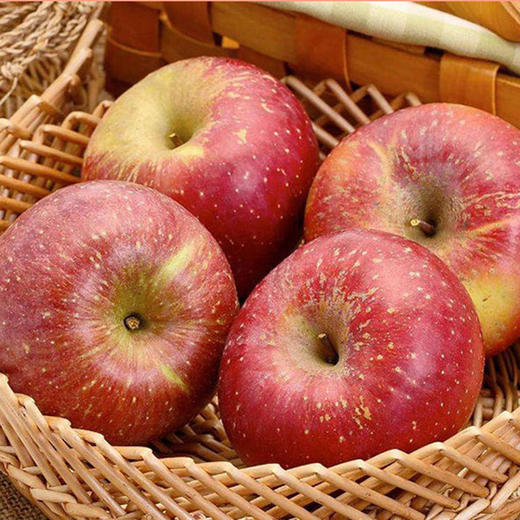 丑苹果净重9斤中大果（75-85果）四川盐源水果新鲜冰糖心现摘 商品图2