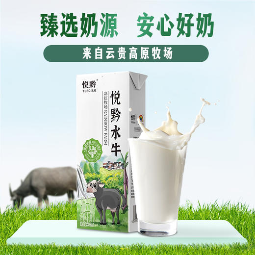 【贵州帮扶】悦黔水牛纯牛奶 200ml*10 商品图3