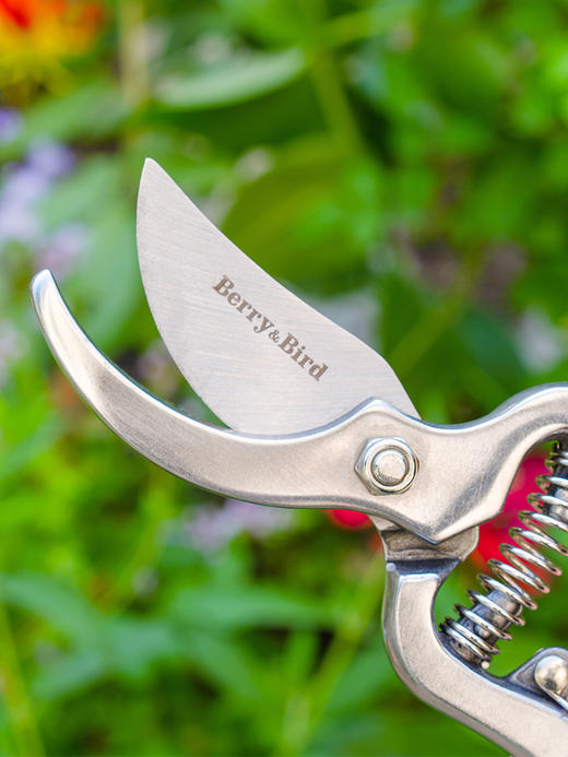 Berry&Bird复古修枝剪 商品图2