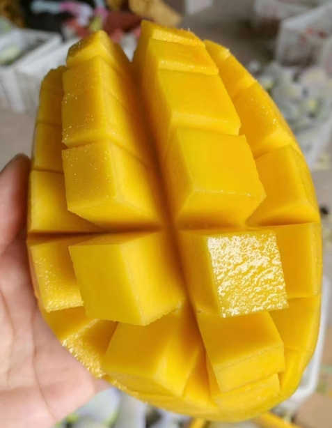 【顺丰包邮】海南金黄石头芒果 皮薄肉厚 水嫩多汁 核薄纤维少 味道香甜！【基地直邮】