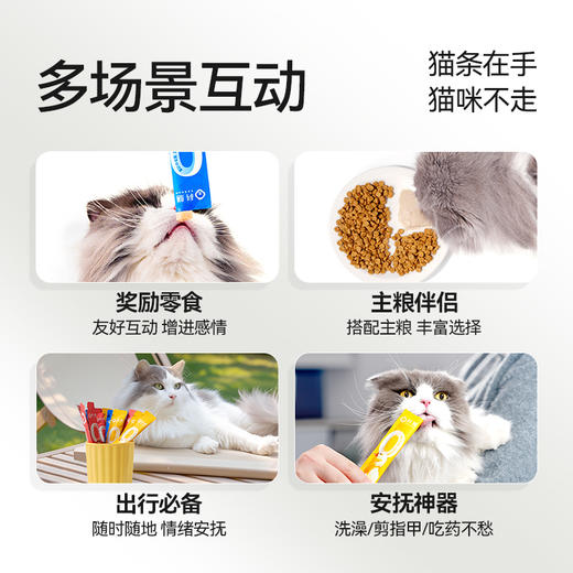 猫条|科膳0小条鲜肉猫条 商品图6