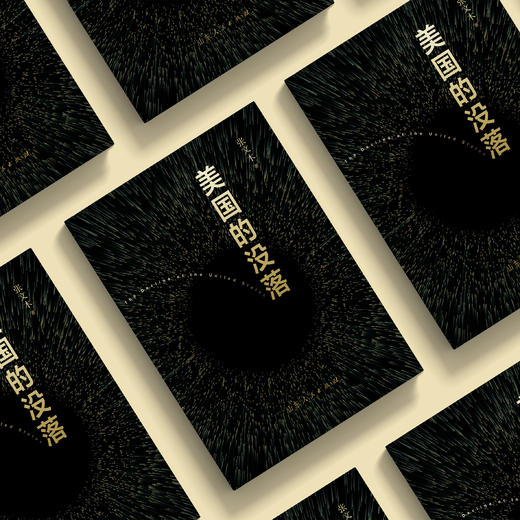 《美国的没落》 商品图9