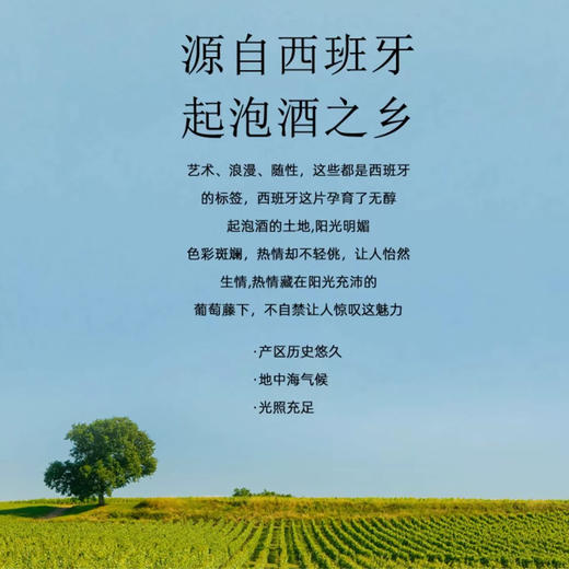 西班牙进口圣塞德多口味碳酸饮料750ml 商品图5