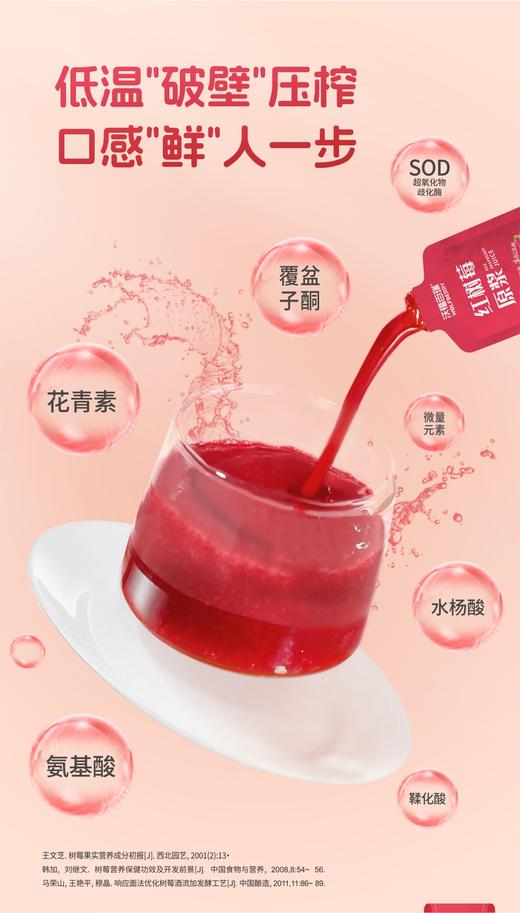 红树莓原浆 商品图6