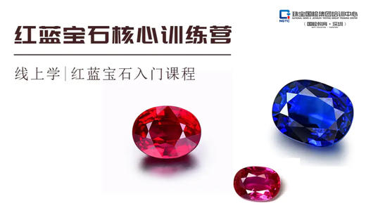 红蓝宝石核心训练营 商品图0