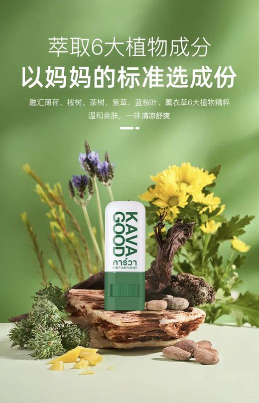 防虫咬神物卡瓦库德青草棒 商品图11