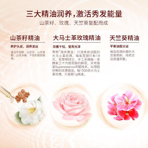 舒蕾  洗发水  山茶花莹亮滋养去屑洗发露500ml 商品图3