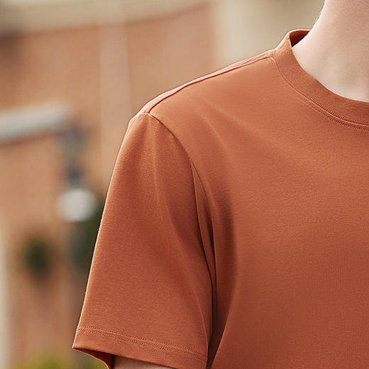 罗蒙男士夏季短袖t恤男大众休闲短袖男舒适圆领时尚男士t恤 商品图13