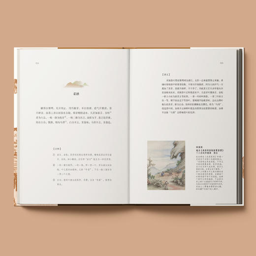 《大观茶论》 商品图5