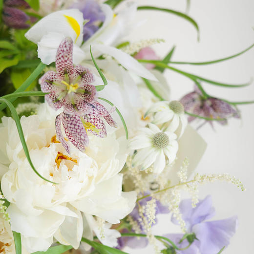 「Peony Season」情书 Love is on Delivery 商品图3