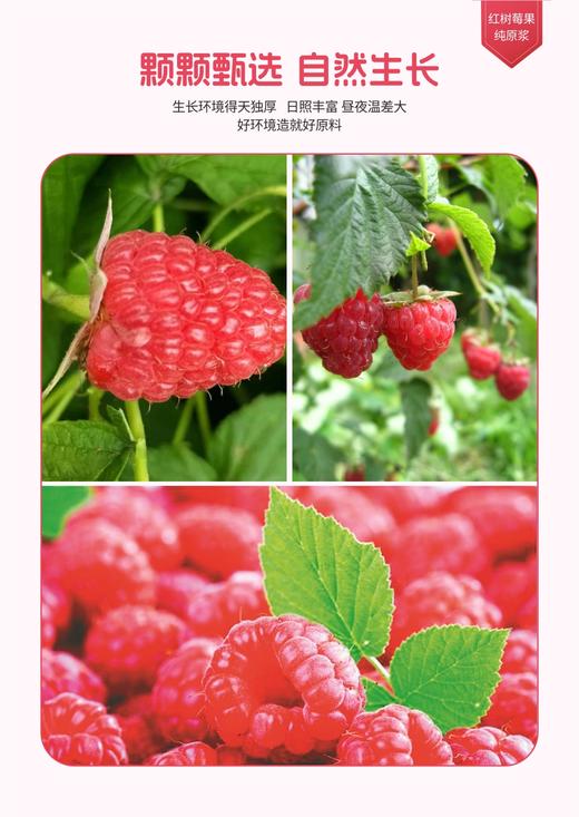 红树莓原浆 商品图7