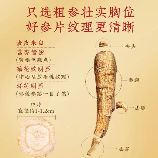 固本堂西洋参礼盒（1.0cm-1.2cm）90g 商品图6