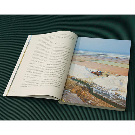 风物中国志·盐池：是“中国滩羊之乡”，本书呈现盐池的人文地理、文化传统、风土人情和在地物产等方面内容 商品图2